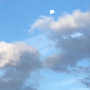 Meet your Posher, Alina